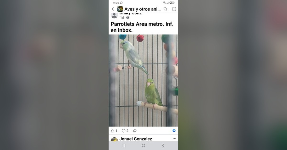 Facebook share preview
