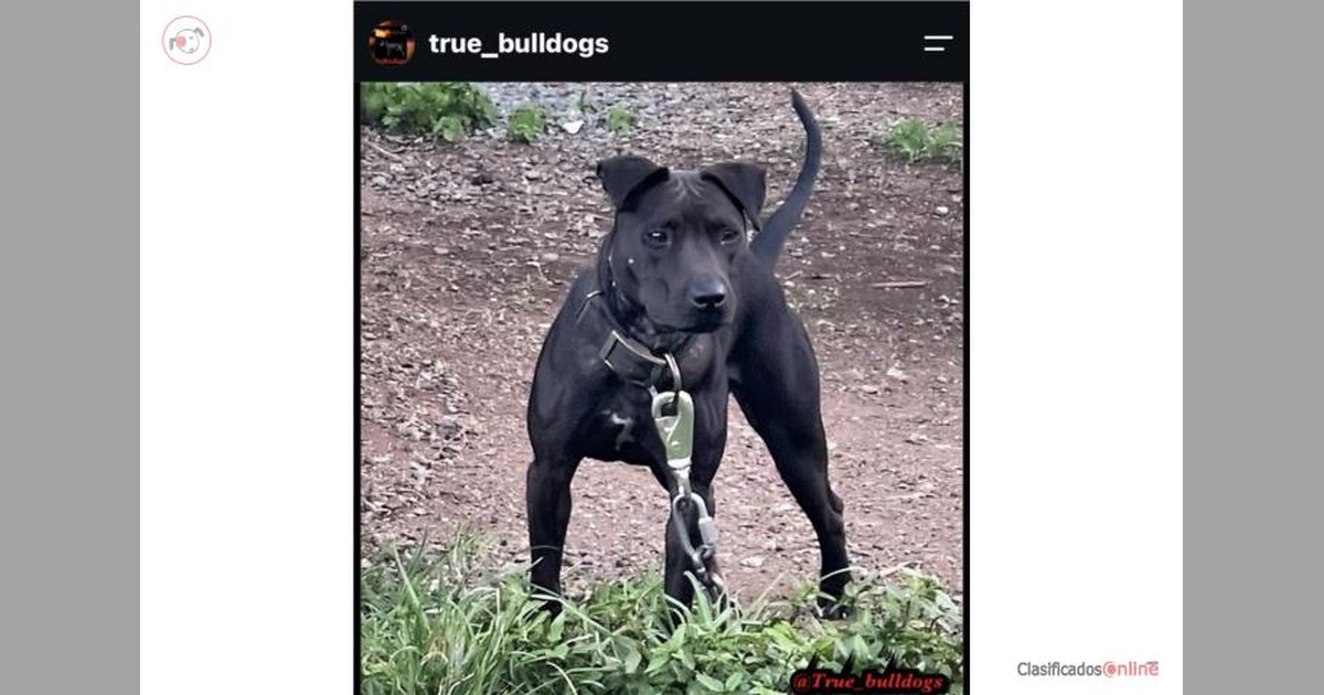 Facebook share preview