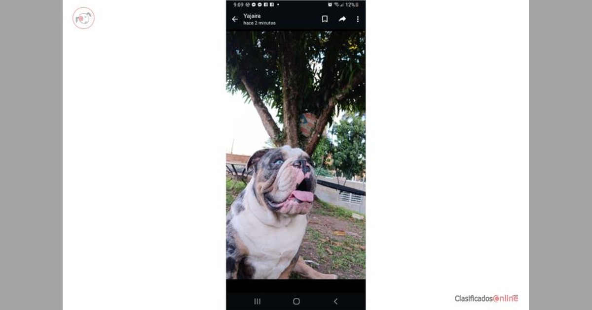 Facebook share preview