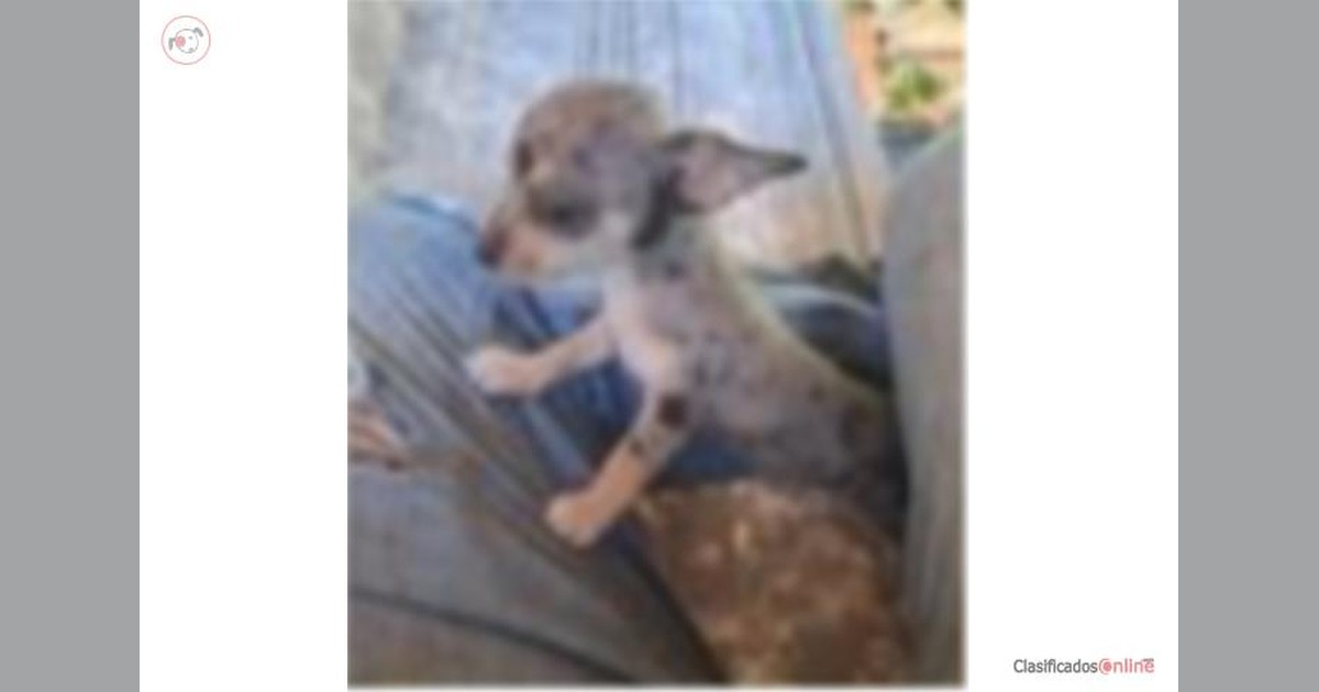 Facebook share preview