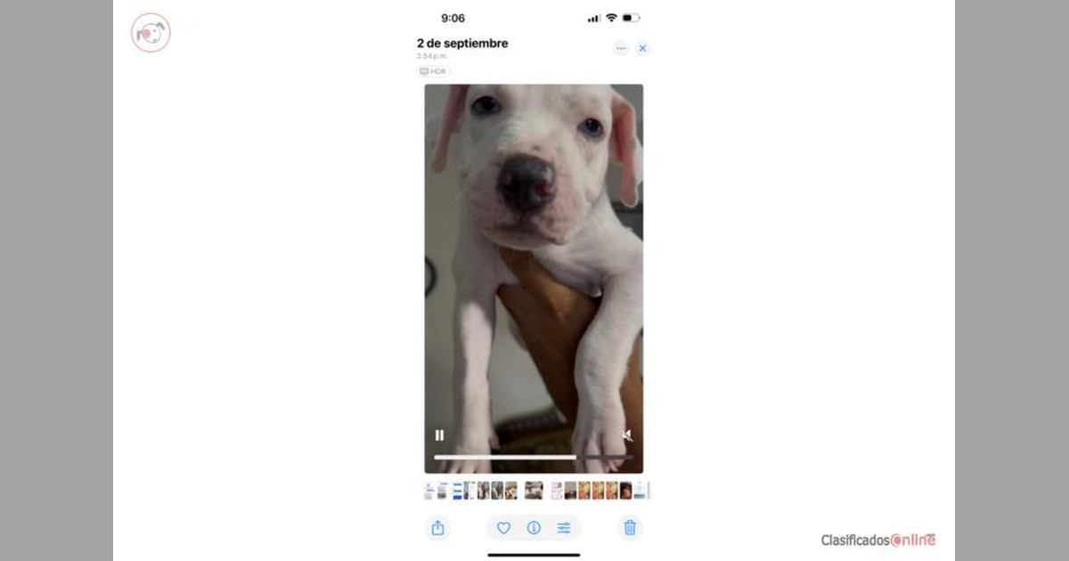 Facebook share preview