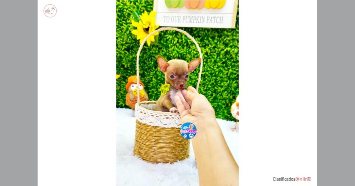 Facebook share preview