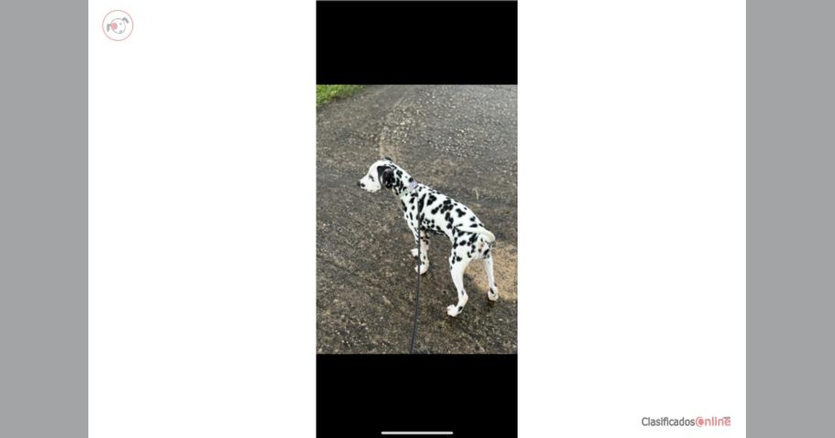 Facebook share preview