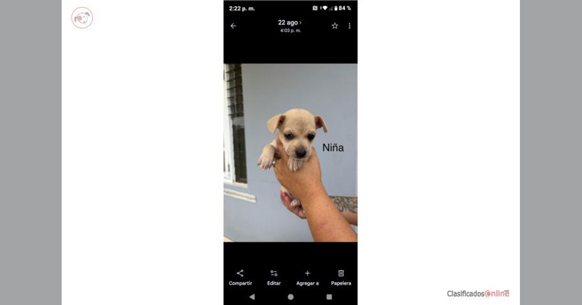Facebook share preview
