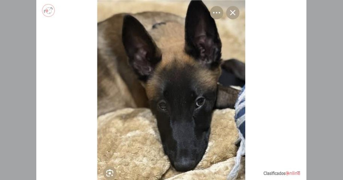 Facebook share preview