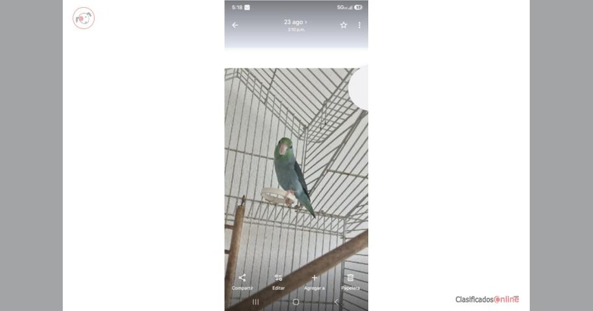Facebook share preview