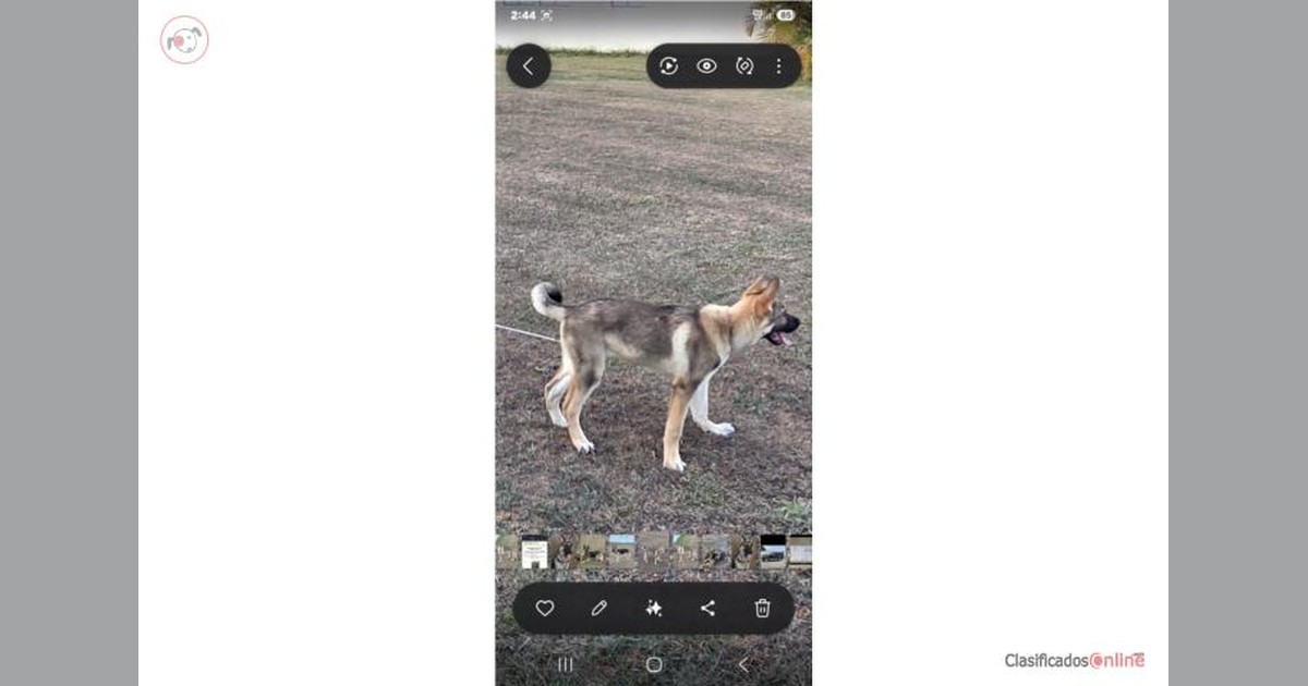Facebook share preview