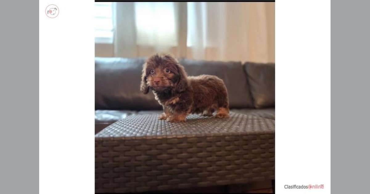 Facebook share preview