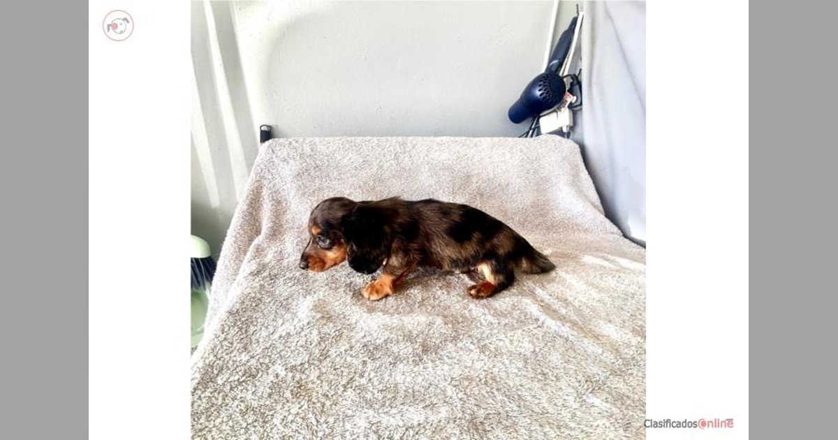 Facebook share preview