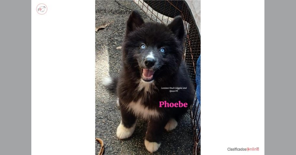Facebook share preview