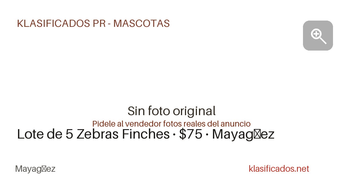 Vista previa para Facebook