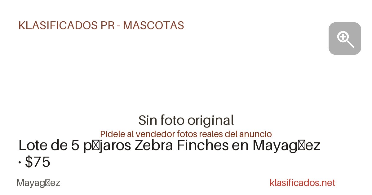 Vista previa para Facebook