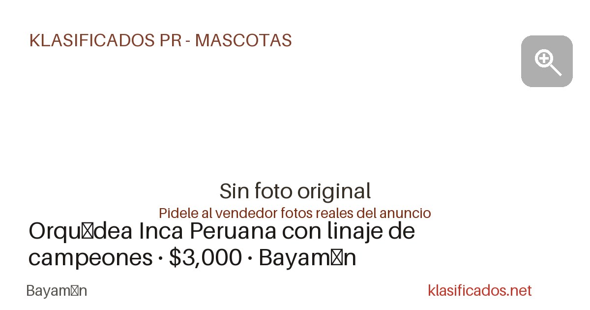 Vista previa para Facebook