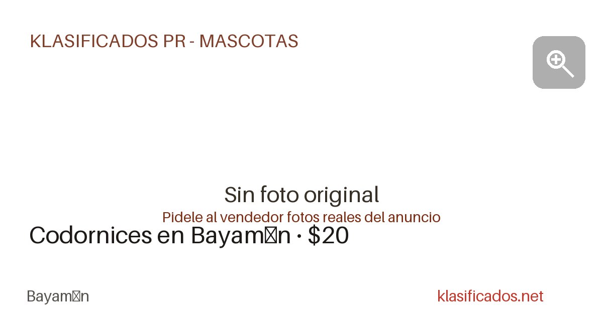 Vista previa para Facebook
