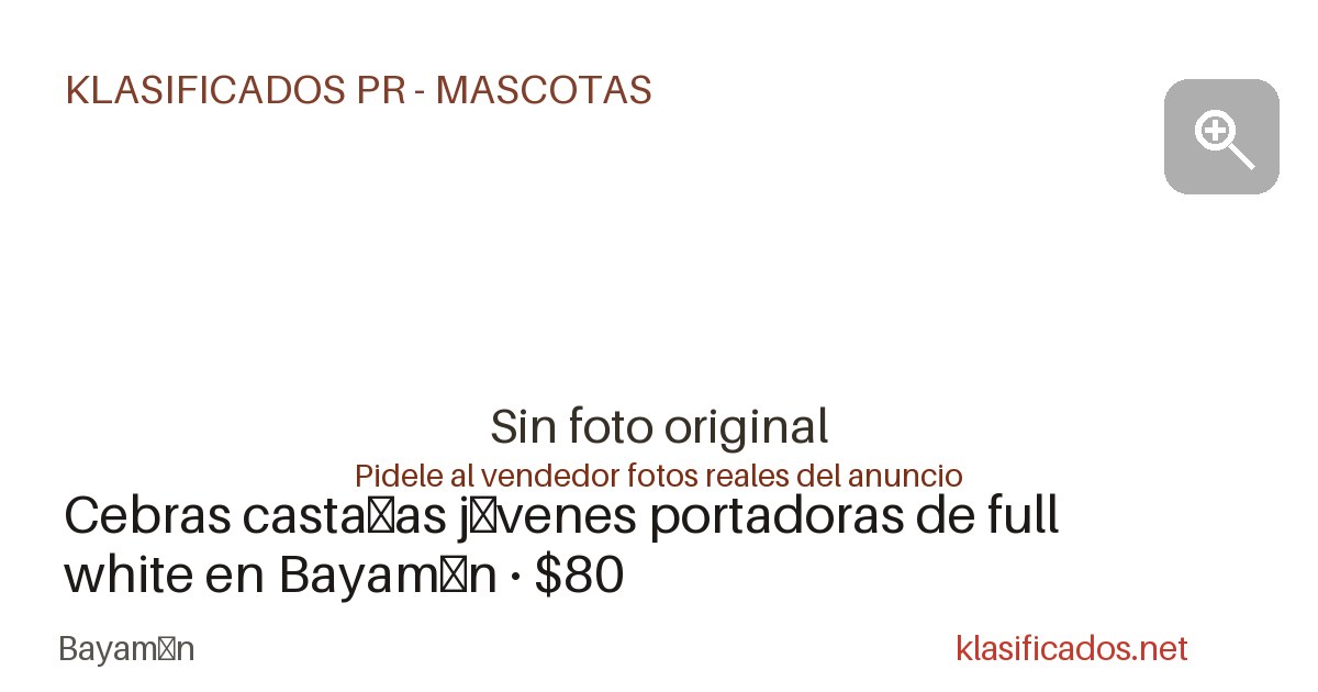 Vista previa para Facebook