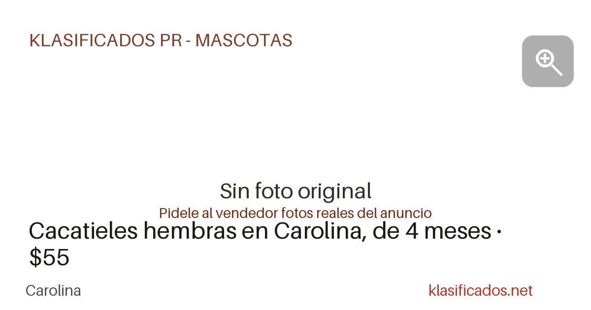Vista previa para Facebook