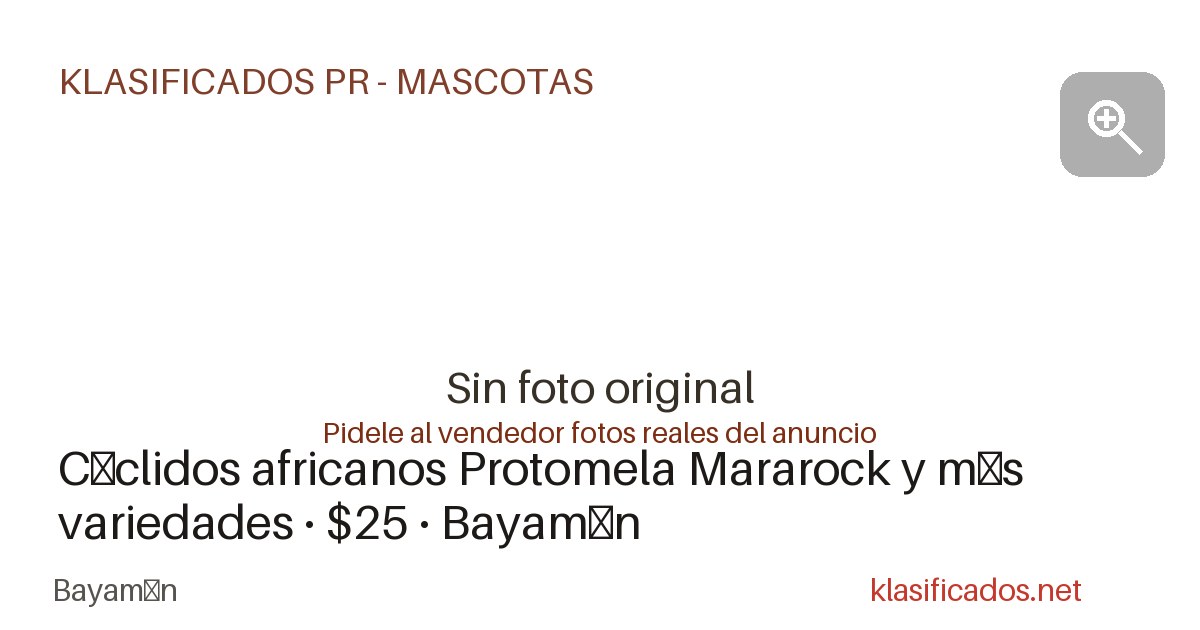 Vista previa para Facebook