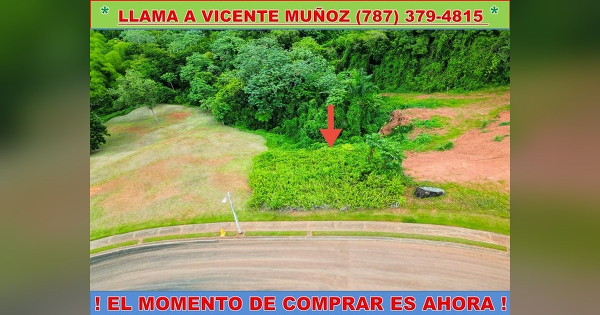 Vista previa para Facebook