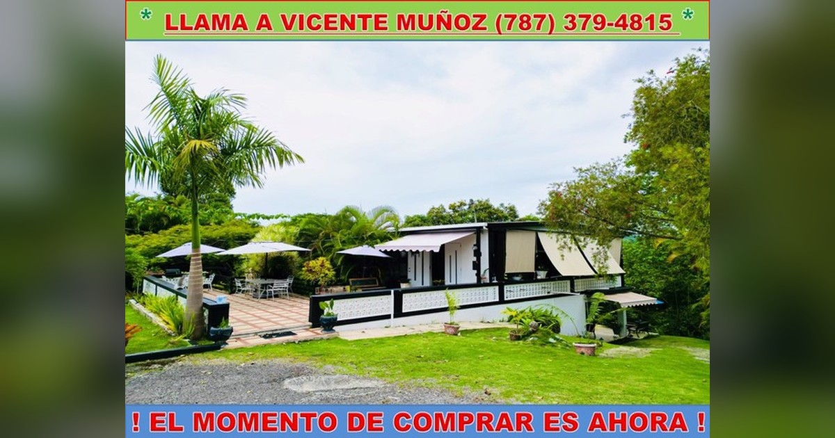 Vista previa para Facebook