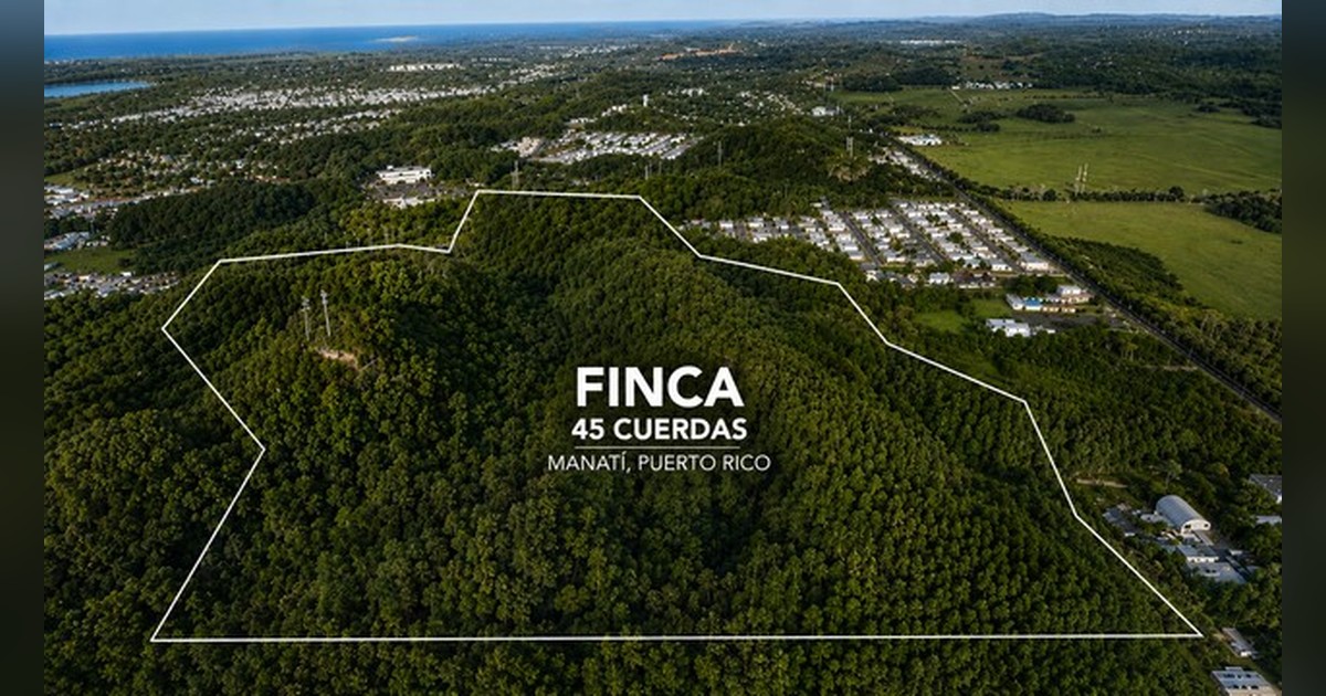 Vista previa para Facebook