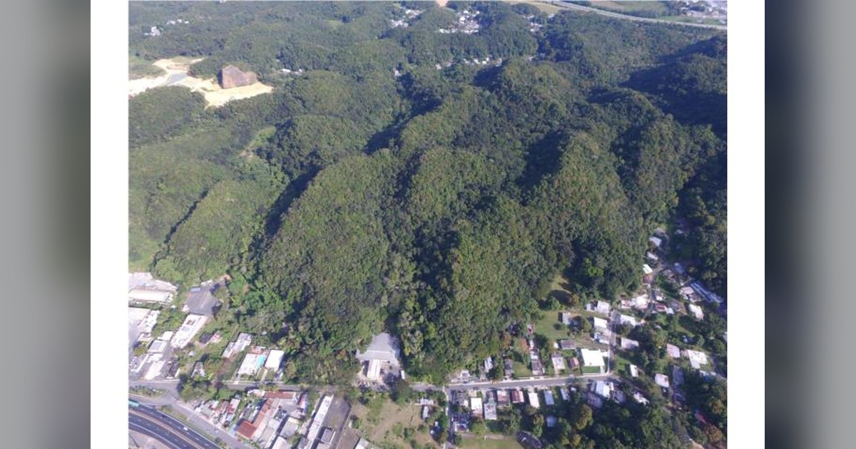 Vista previa para Facebook