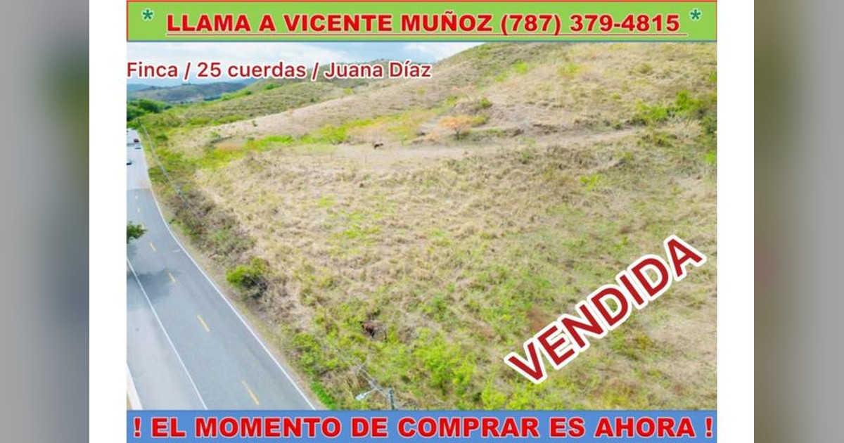 Vista previa para Facebook