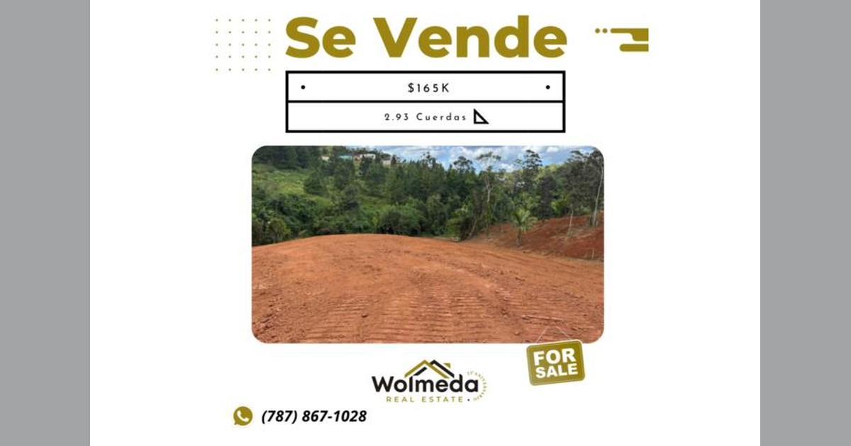 Vista previa para Facebook
