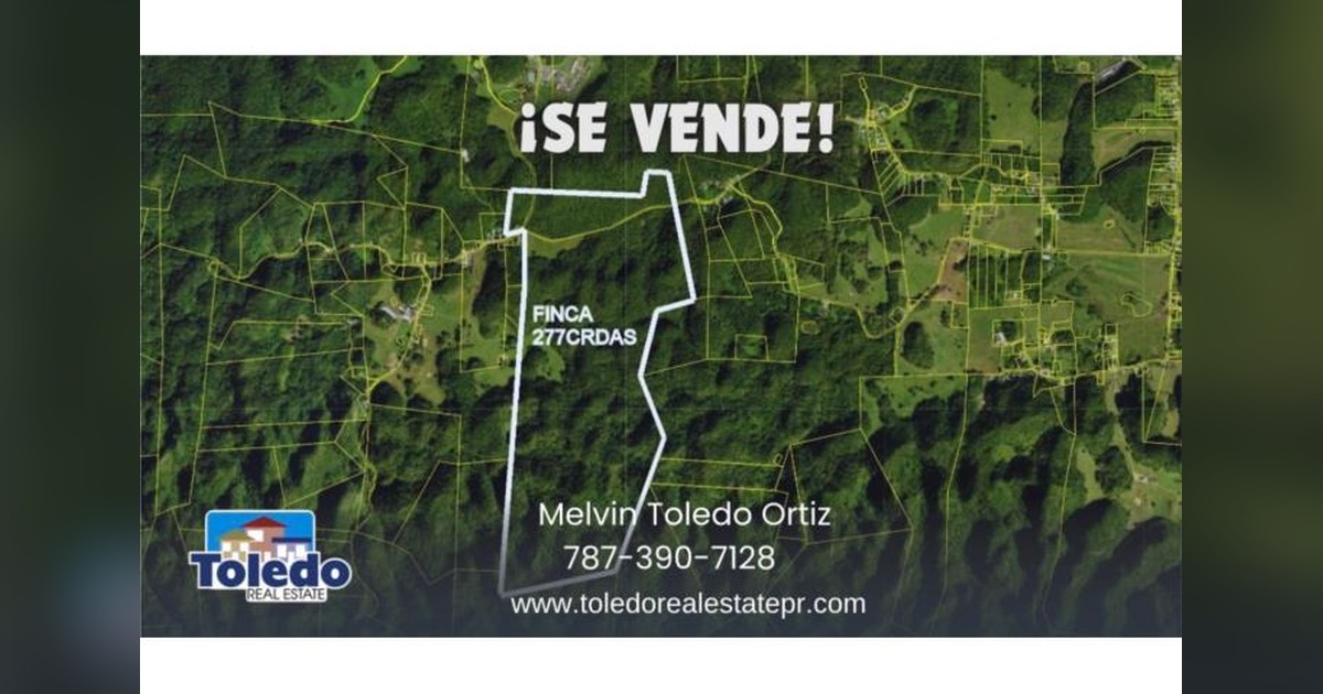 Vista previa para Facebook