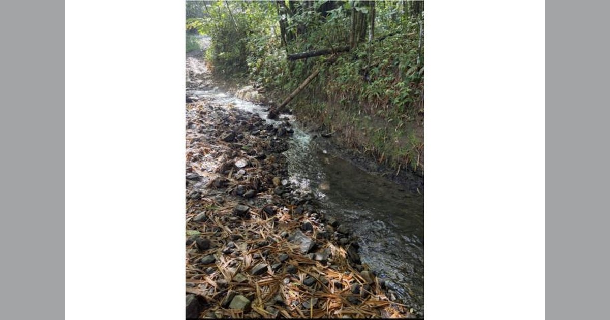 Vista previa para Facebook