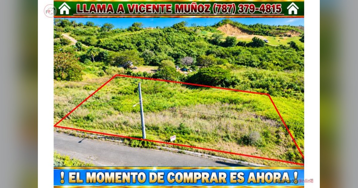 Vista previa para Facebook