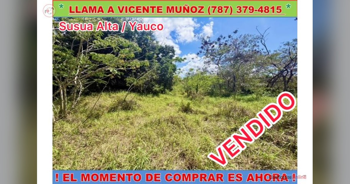 Vista previa para Facebook