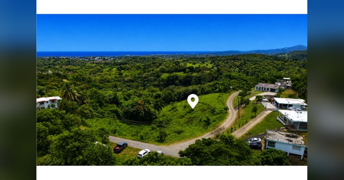 Vista previa para Facebook