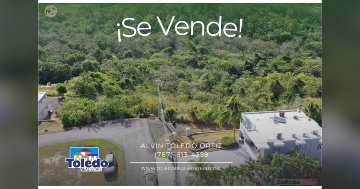 Vista previa para Facebook