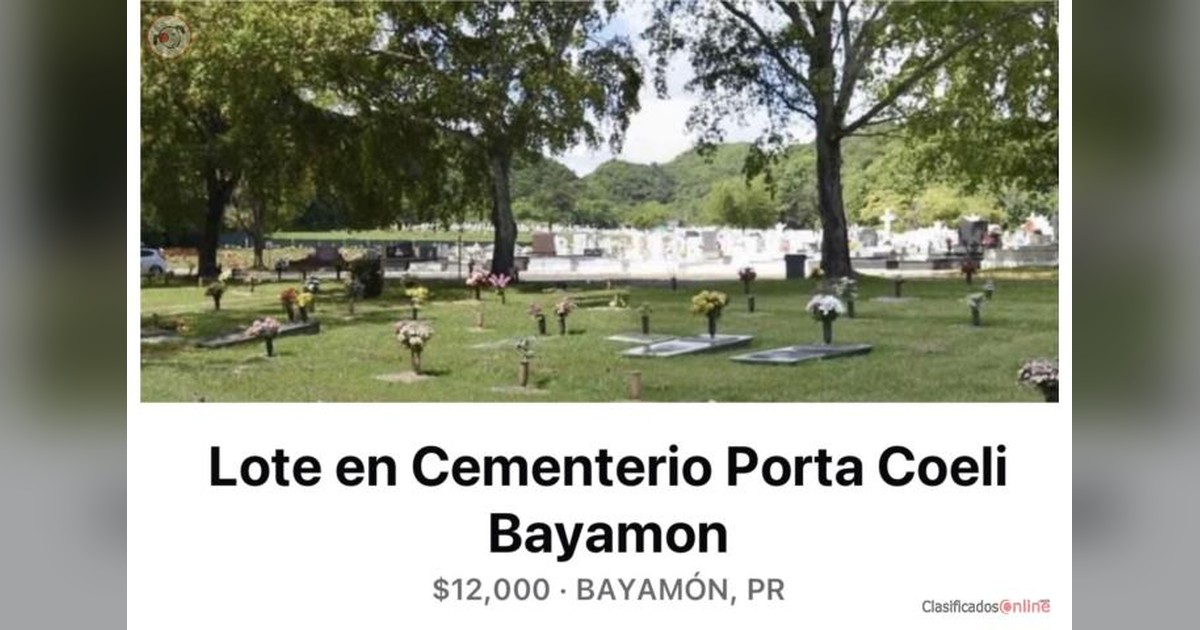 Vista previa para Facebook