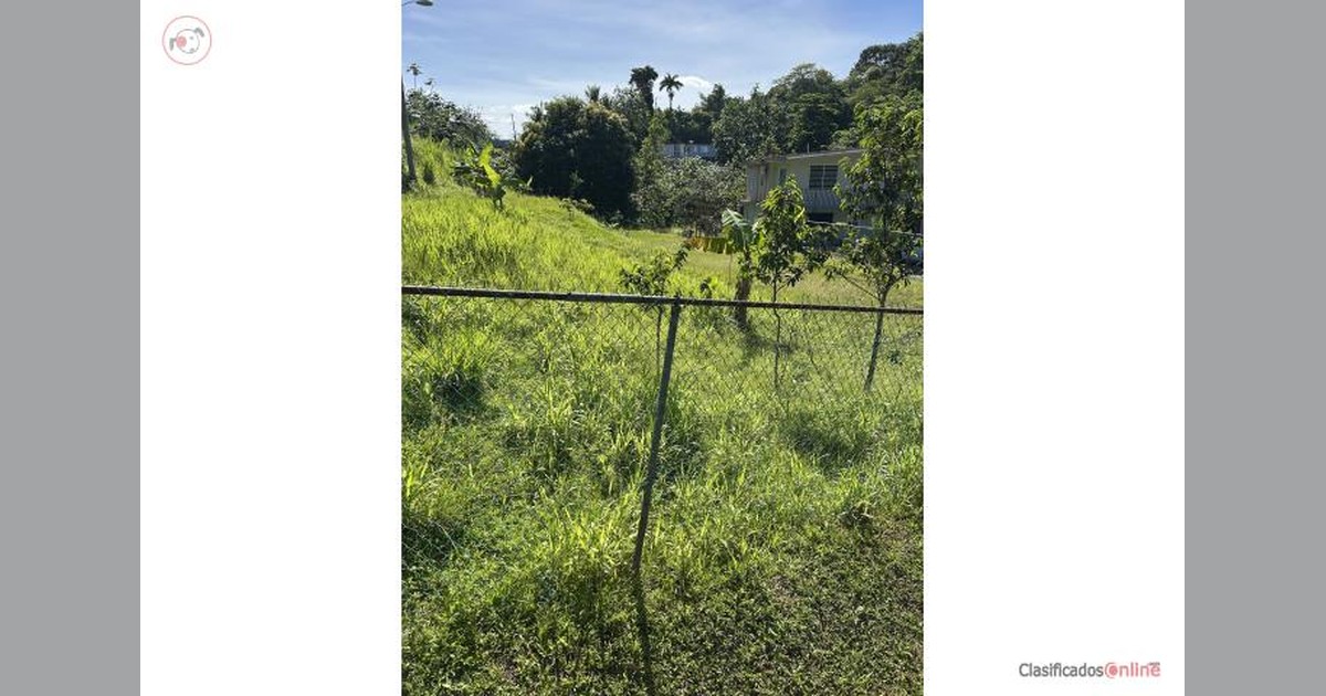 Vista previa para Facebook