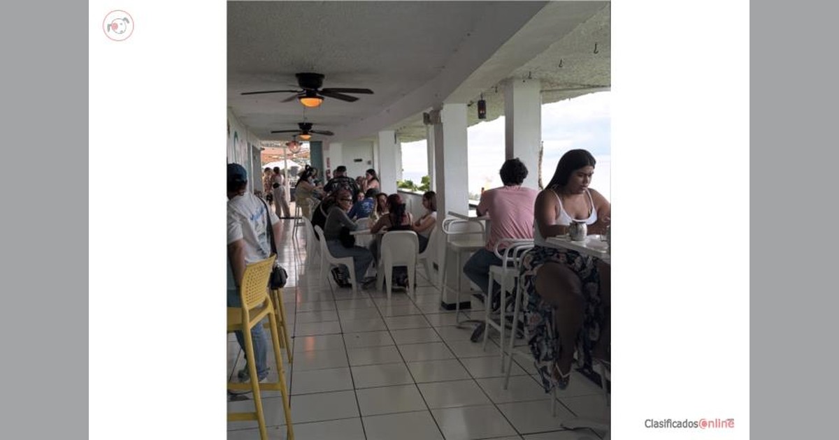 Vista previa para Facebook