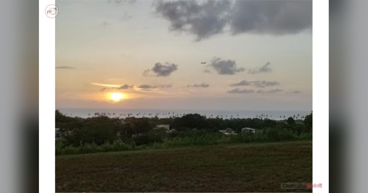 Vista previa para Facebook