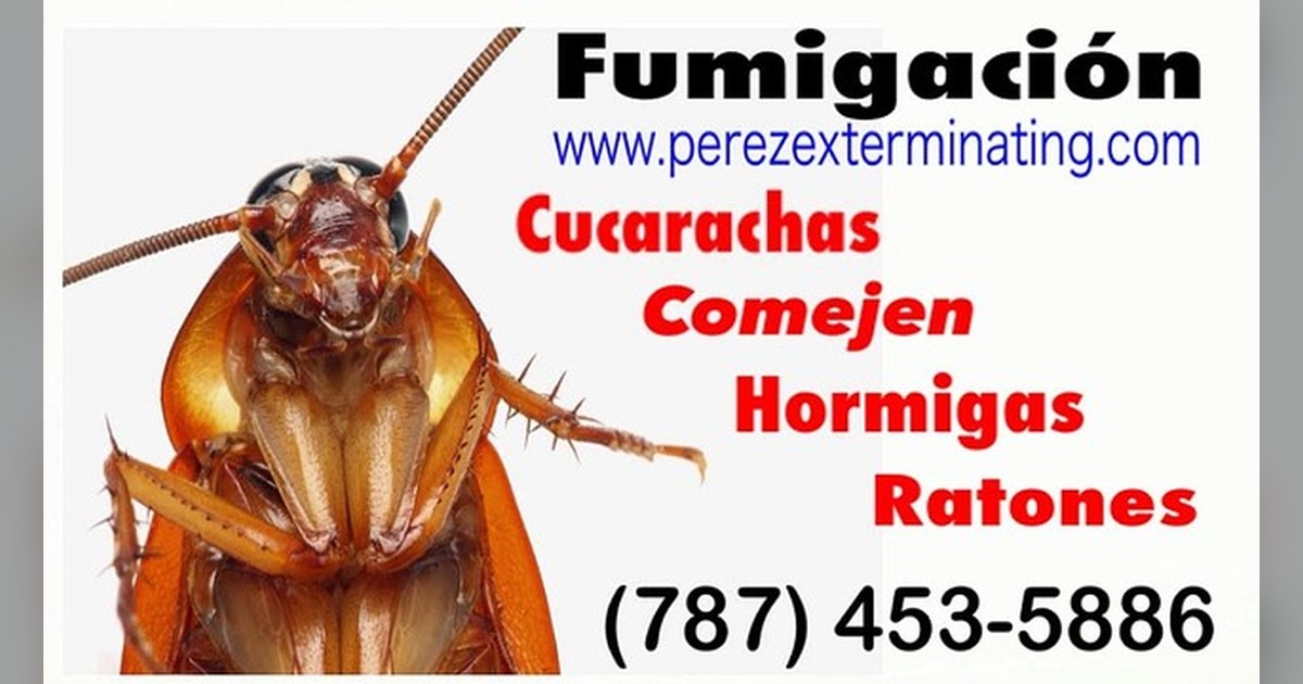 Vista previa para Facebook